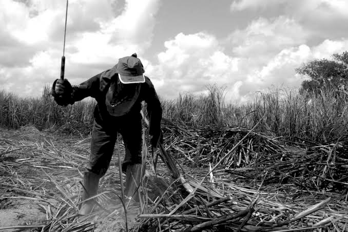 Empregador de uma fazenda de Fundão aparece na lista com o registro de um trabalhador envolvido em escravidão