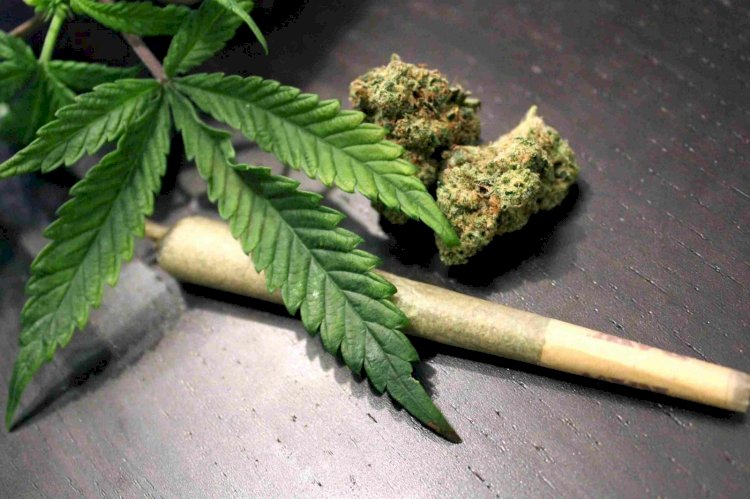 STF fixa 40g de maconha para diferenciar usuário de traficante