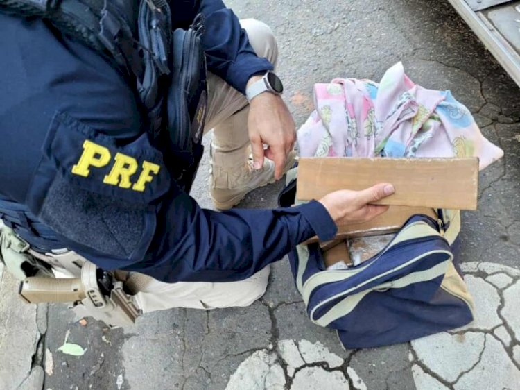 Mais de 22 kg de maconha são apreendidos em ônibus na cidade de Fundão
