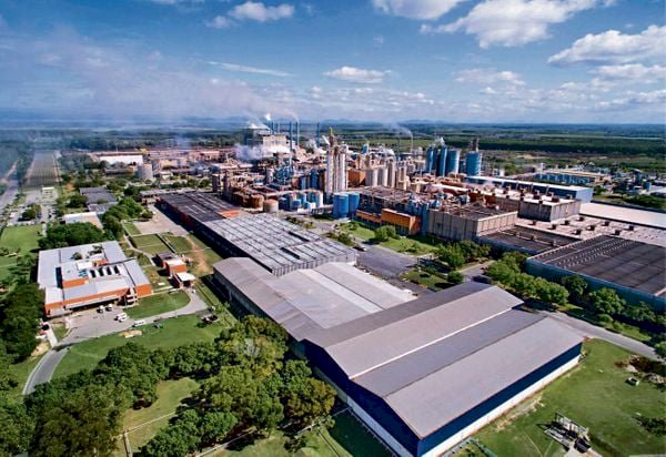 Suzano abre inscrições para programa de estágio com vagas em Aracruz