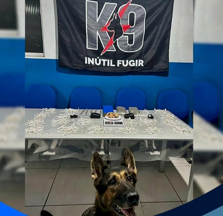 K9 apreende quase 2 kg de crack e centenas de maconha em Barra do Riacho