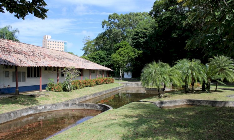 Aracruz | Serviços essenciais são mantidos durante os feriados de Corpus Christi, ponto facultativo e São João Batista