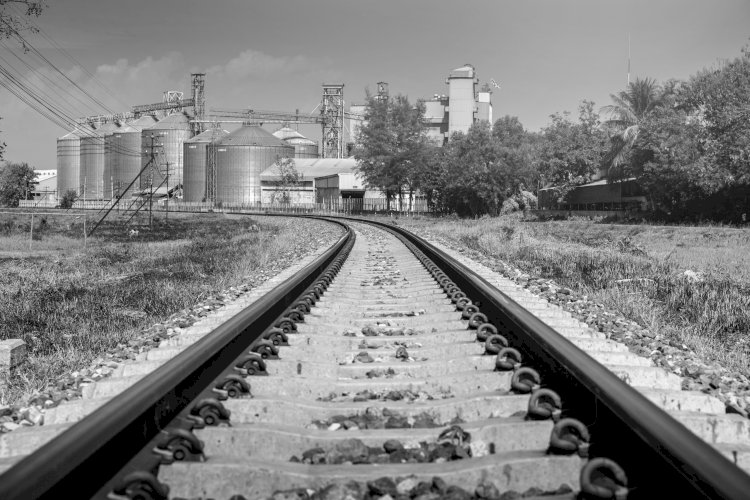 Ferrovia promete criar rota alternativa para o agro com nova logística entre portos do Sudeste